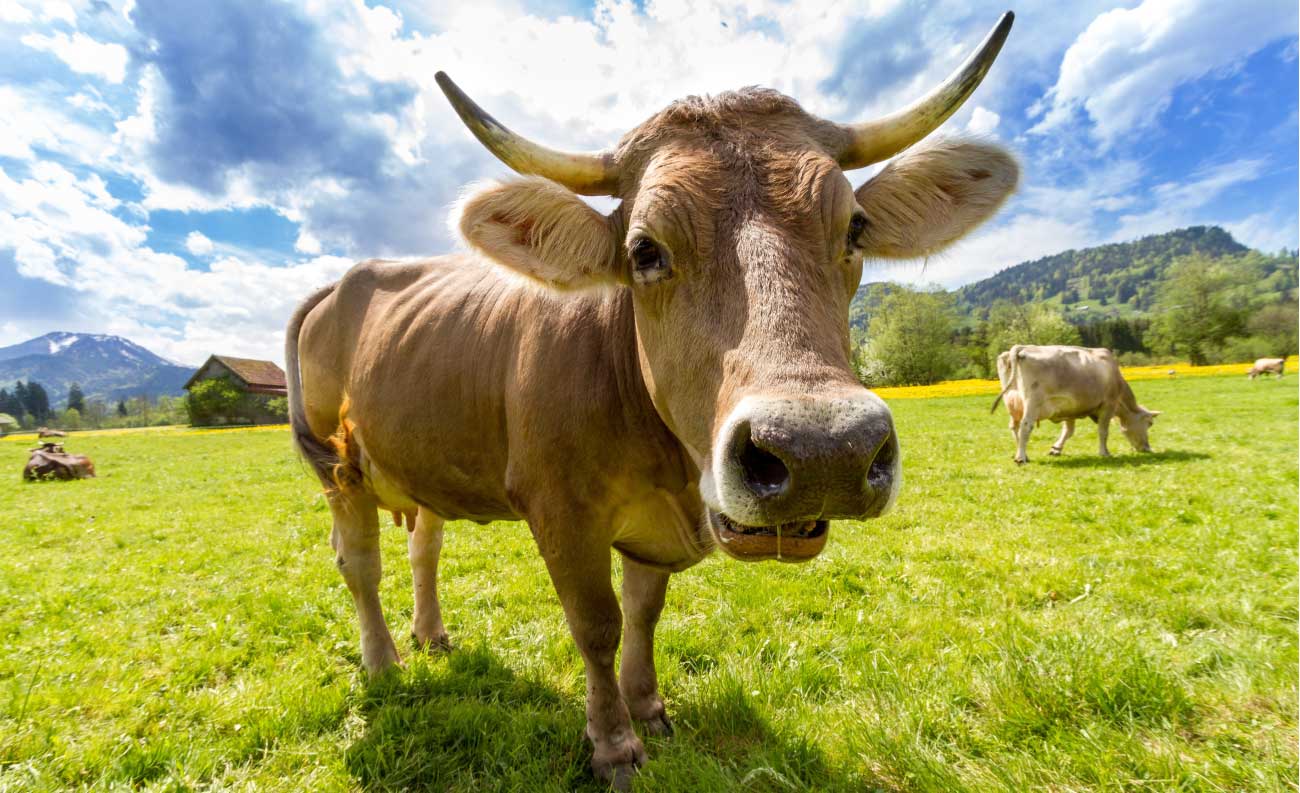 Agricom